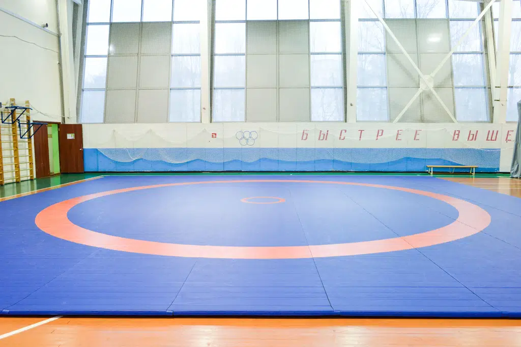 Оборудование ЕВРОМАТ для спортивных школ