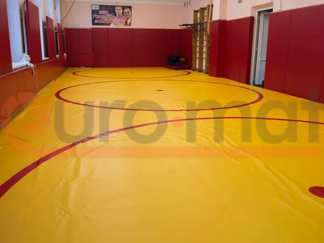 Жёлтый борцовский ковёр с тремя красными кругами