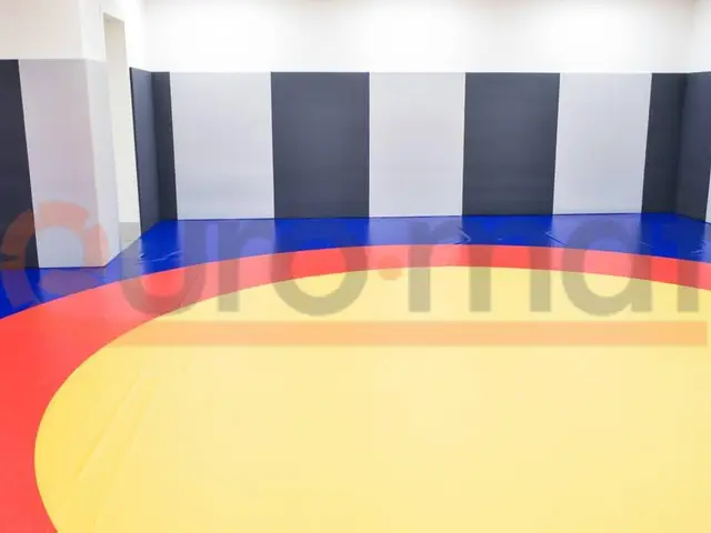 Борцовский круг перед чередующимися серыми протекторами