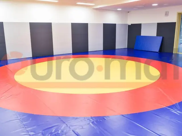 Жёлто-красно-синий борцовский ковёр перед серой стеной
