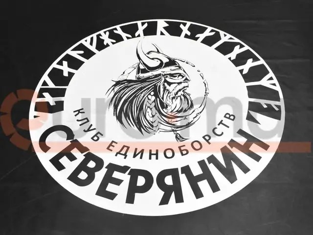 Раскладка листов татами в клубном зале