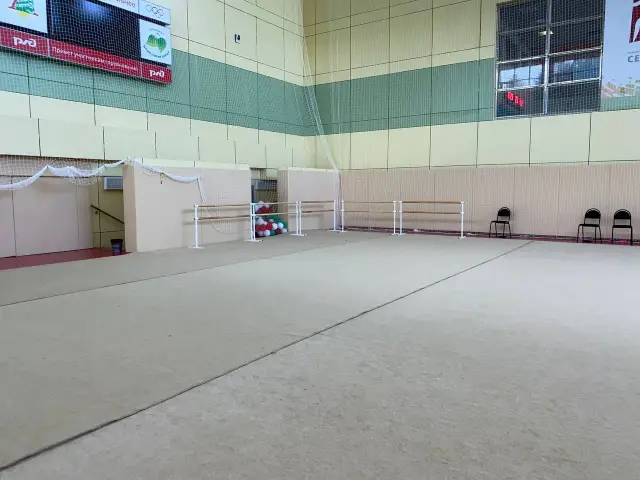 Светлые гимнастические ковры перед балетными станками
