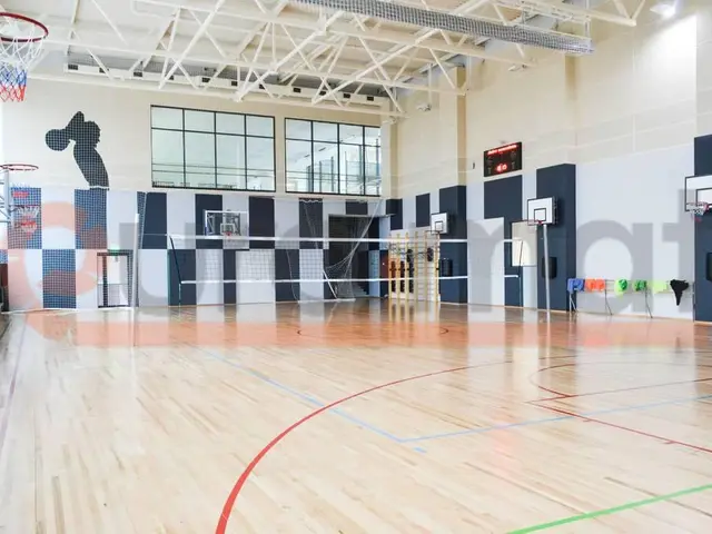 Разноцветная спортивная разметка на светлом деревянном полу