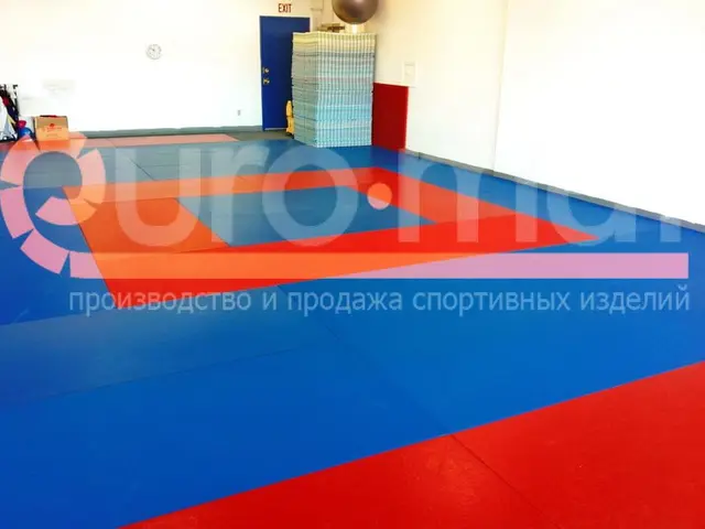 Компактное помещение, застеленное листовым татами