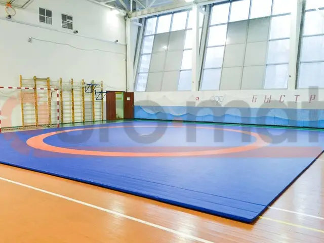 Синий борцовский ковёр под наклонными окнами
