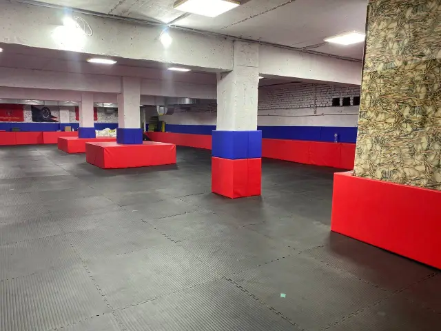 Чёрные будо-маты и красно-синяя защита колонн