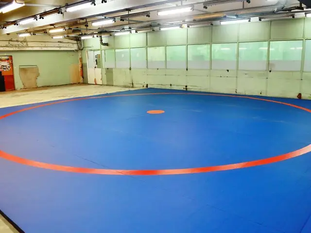 Спортшкола самбо в Самаре, вид зала с круговой линией на полу
