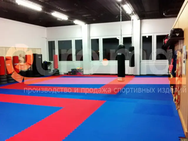 Зал единоборств в Екатеринбурге: покрытие с цветными полосами
