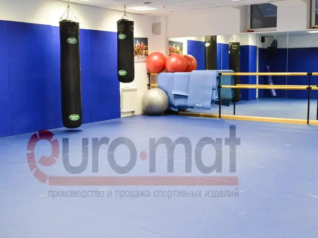 Синяя стеновая защита и подвесные мешки у зеркала