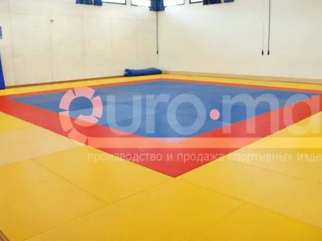 Детско-юношеская спортшкола, татами по всей площади