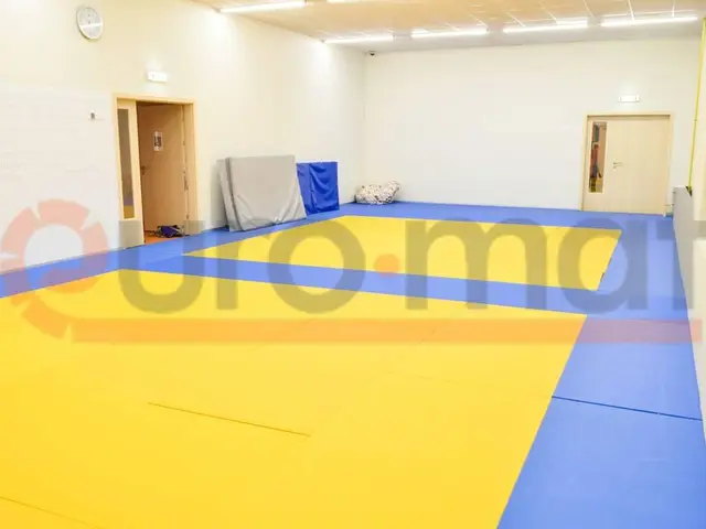 Две жёлтые площадки татами с синим разделением