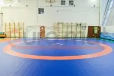 Борцовский ковёр сине-оранжевый в школьном спортзале с воротами и стенками