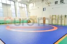 Борцовский ковёр сине-оранжевый в школьном зале с зелёным покрытием по краям