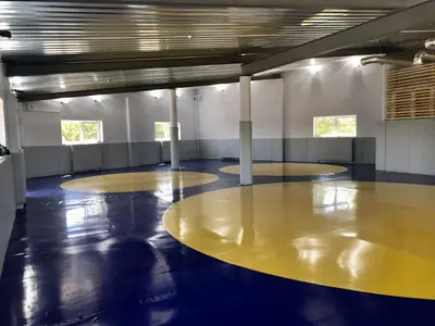 Борцовский ковер и серые протекторы на колоннах в зале школы Самбо-Калининград