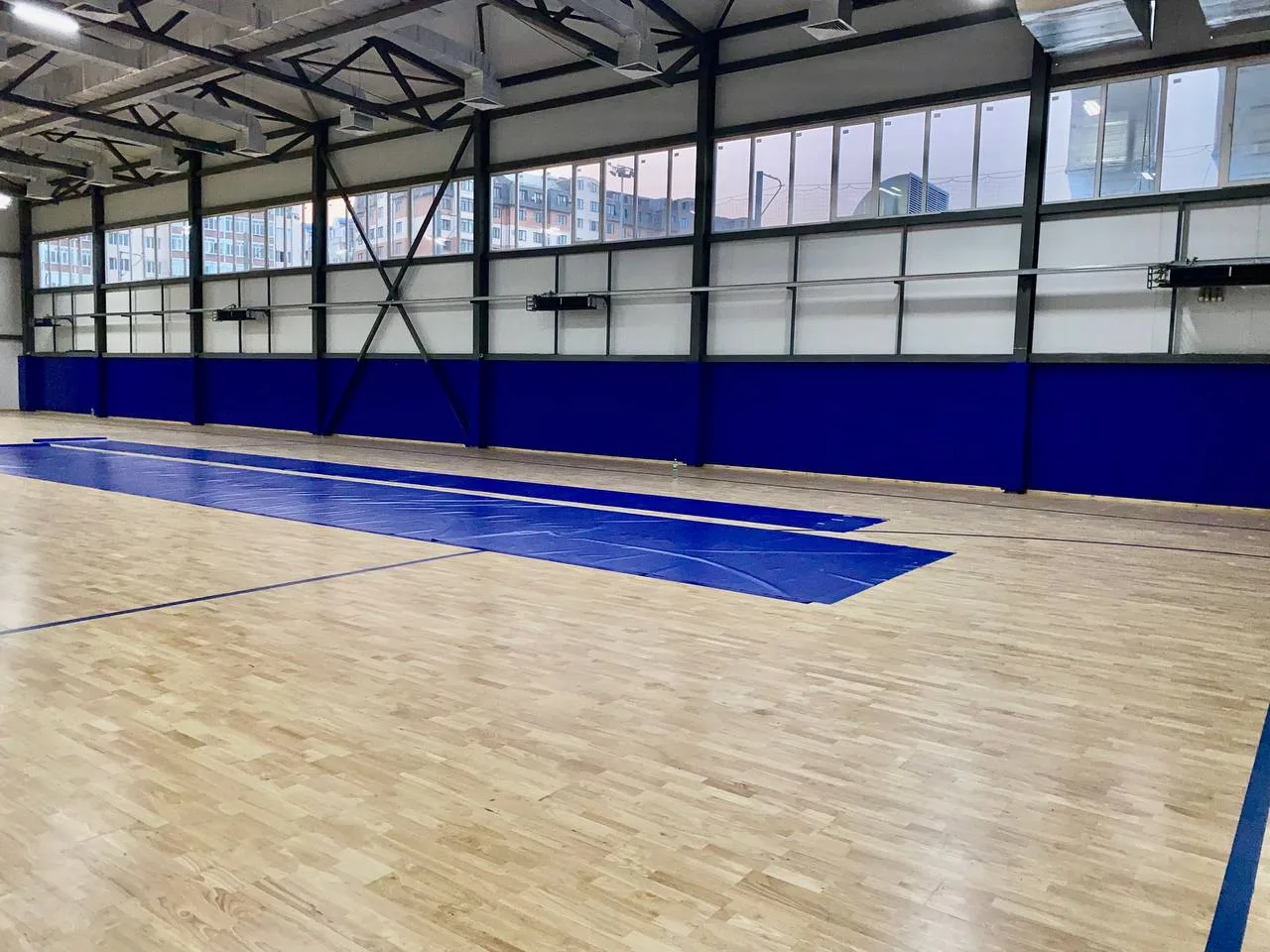 Крупный план разметки зон борьбы на ковре стадиона Анжи-Арена в Каспийске