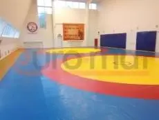 Борцовский ковёр жёлто-красно-синий в зале вольной борьбы с протекторами
