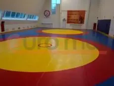 Борцовский ковёр крупным планом: жёлтый центр, красная и синяя зоны