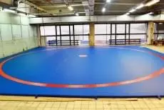 Борцовский ковёр синий с красным кругом в зале самбо с большими окнами