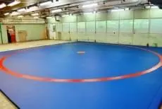 Борцовский ковёр синий с красным кругом в зале самбо с матовыми окнами