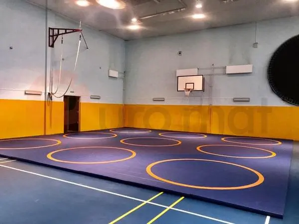 Борцовские ковры синего цвета с оранжевыми кругами в спортивном зале школы в Люберцах с баскетбольным щитом