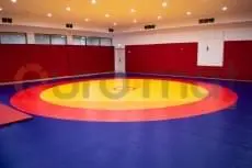 Борцовский ковёр сине-красно-жёлтый с красными стеновыми протекторами в зале борьбы