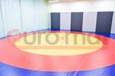 Борцовский ковёр жёлто-красно-синий в зале со стеновыми протекторами и зелёными шторами