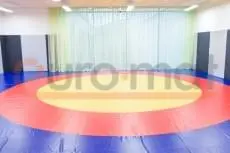 Борцовский ковёр с жёлтым центром и красно-синими кольцами, зелёные шторы и стеновые протекторы