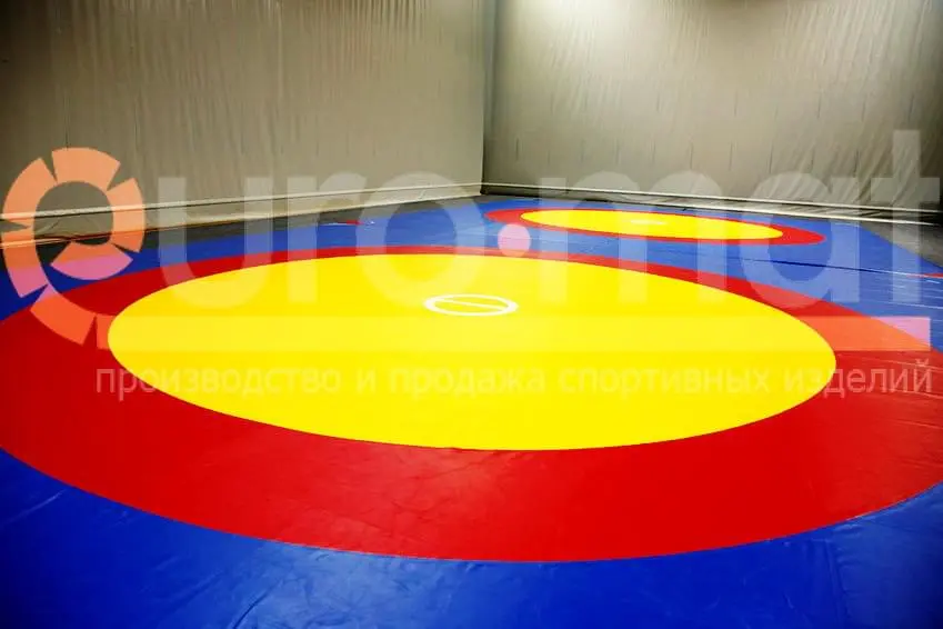 Борцовский ковёр с жёлтым центром, красной и синей зонами в спортзале ДЮСШ
