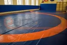 Сине-оранжевый борцовский ковёр в школьном зале с баскетбольным кольцом и шведской стенкой