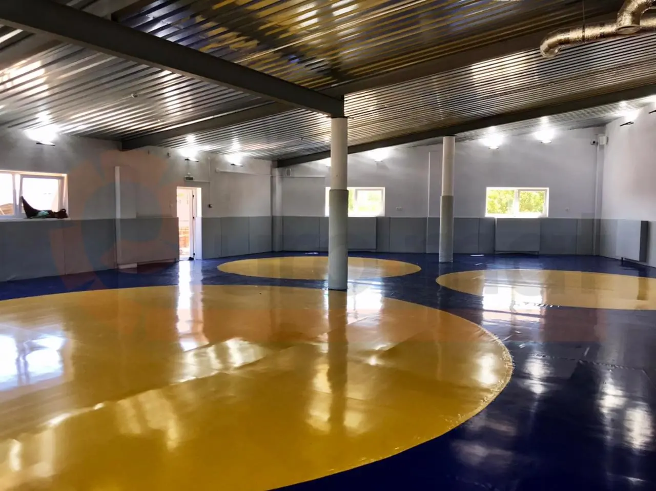 Борцовские ковры синего цвета с жёлтыми кругами в просторном борцовском зале в Калининграде