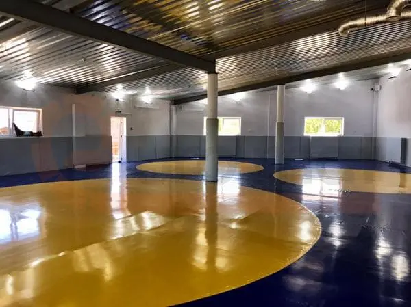 Борцовские ковры синего цвета с жёлтыми кругами в просторном борцовском зале в Калининграде
