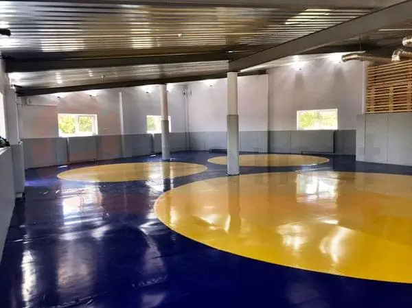 Борцовские ковры синего и жёлтого цвета с двумя тренировочными кругами в зале борьбы в Калининграде