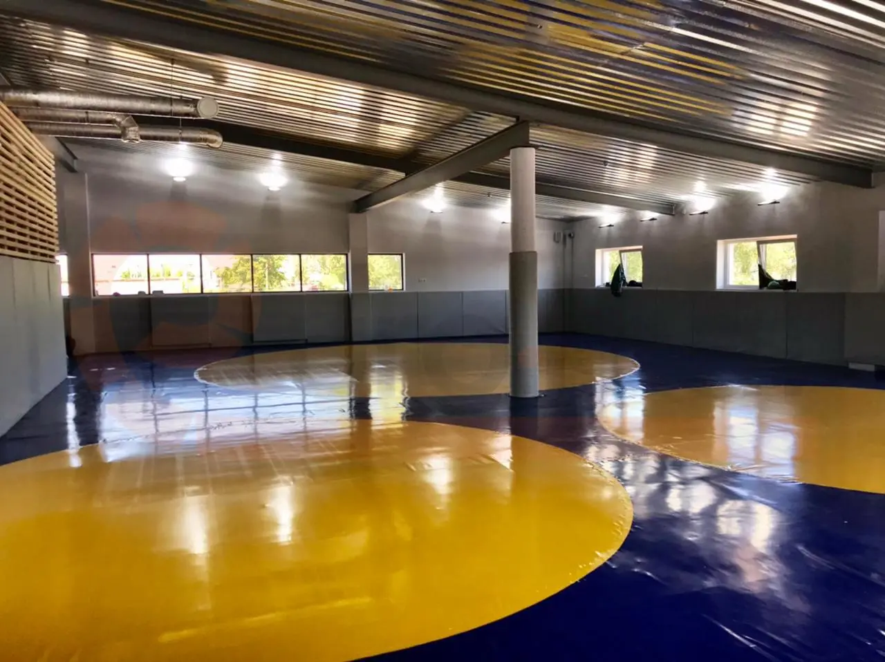 Два борцовских ковра с жёлтыми кругами на синем фоне в борцовском зале Калининграда с окнами