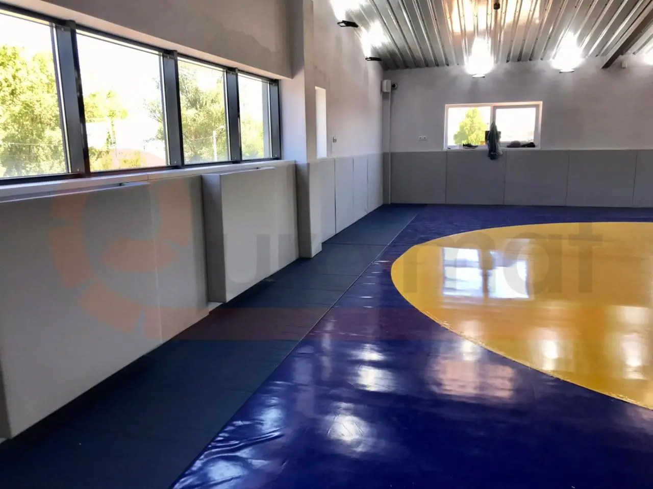 Борцовский ковёр синего и жёлтого цвета со стеновыми протекторами серого цвета под окнами в Калининграде