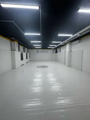 Белый борцовский ковёр с логотипом Император, белые протекторы и жёлтая акцентная полоса