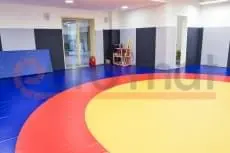 Зал борьбы с борцовским ковром и стеновыми протекторами тёмно-серого цвета, спортивный инвентарь в углу