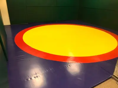 Борцовский ковер с синей, красной и жёлтой разметкой в частном спортзале с зелёными стеновыми протекторами