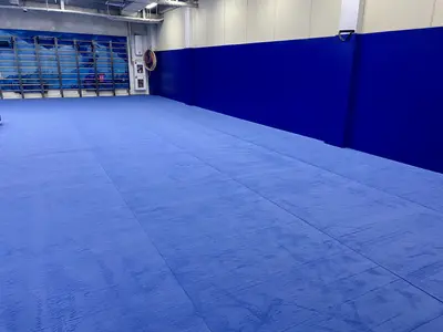 Голубой ролл-гимнаст и синие стеновые протекторы в частном зале гимнастики в Москве
