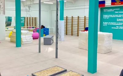 Бежевый ролл-гимнаст в зале с колоннами, шведскими стенками и гимнастическим оборудованием