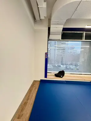 Синий ролл-мат на полу и защитный протектор на колонне с логотипом Евромат в зале школы