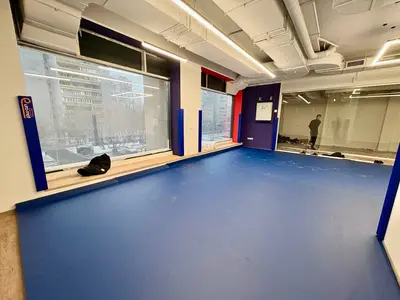 Зал с синим ролл-матом, синими протекторами на колоннах, зеркалом и красной стеной