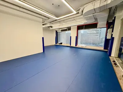 Синий ролл-мат и протекторы на колоннах у окон в зале Школы открытий