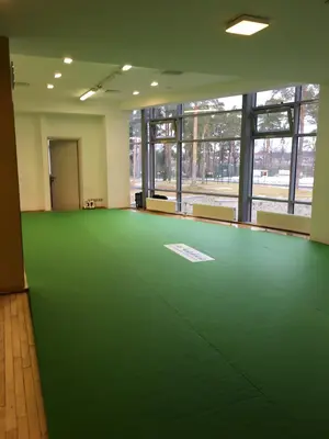 Зелёный ролл-мат трапециевидной формы в фитнес-зале загородного отеля с панорамными окнами