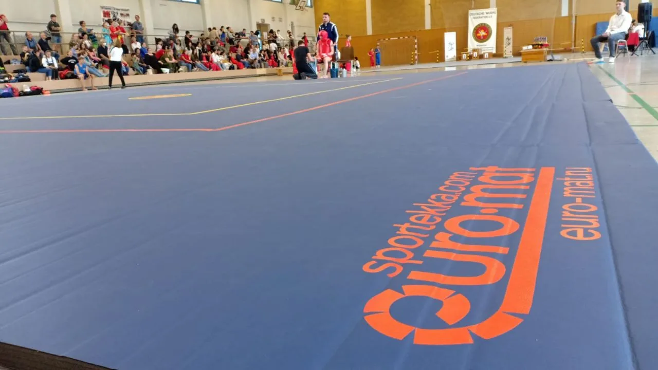 Поле с разметкой по стандартам ушу на синем ролл-мате