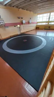 Ролл-мат с разметкой борьбы в школьном спортзале Кричева с розовыми стенами