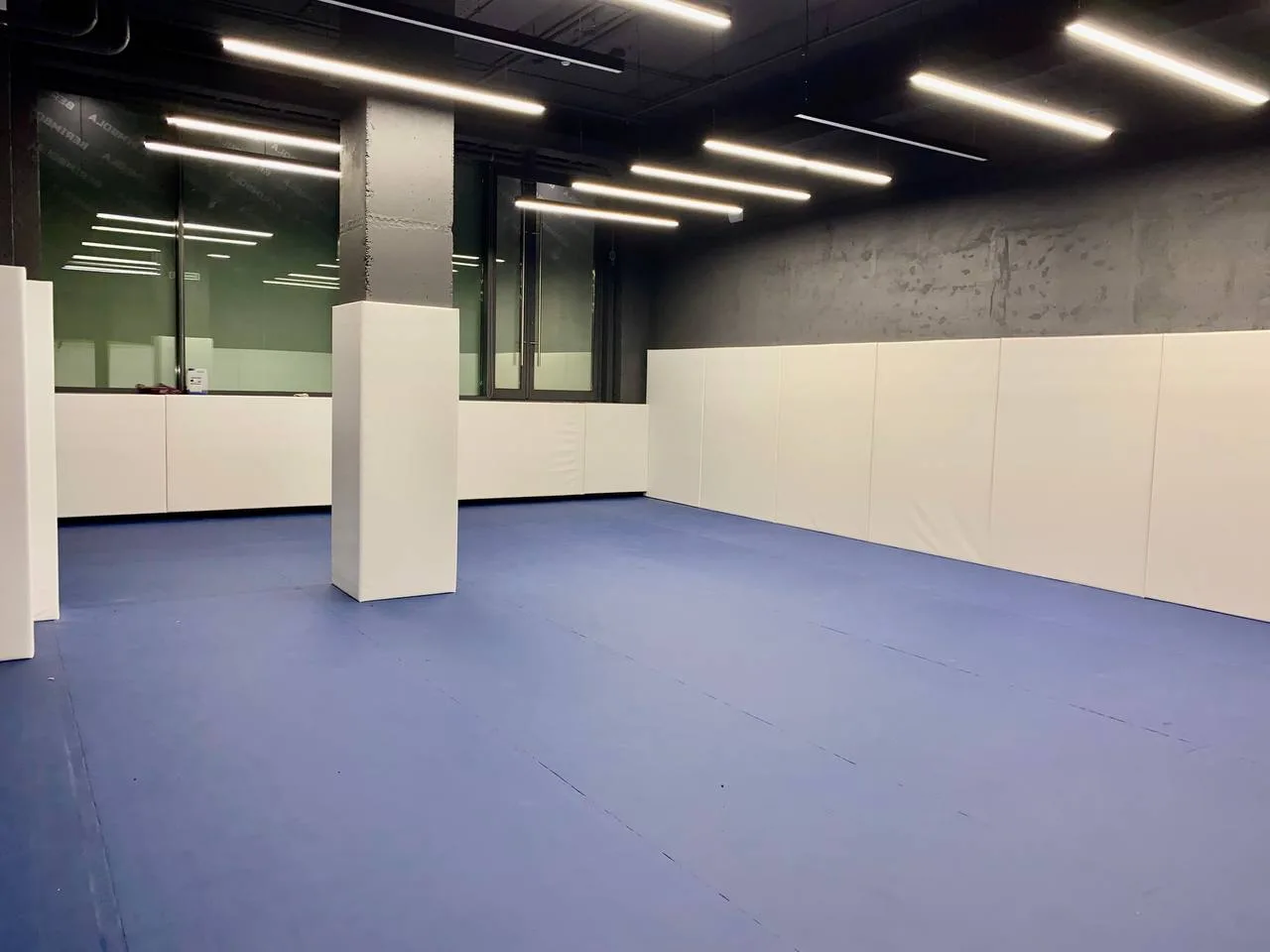 Синий ролл-мат и белые стеновые протекторы на стенах и колоннах в зале борьбы на Мосфильмовской