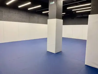 Белые стеновые протекторы и защита колонн в просторном зале борьбы с синим ролл-матом