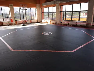 Чёрный ролл-мат с красной октагональной разметкой и логотипом Pride Club, боксёрский ринг на фоне