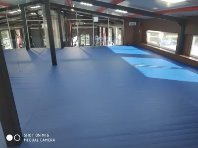 Синий ролл-мат eco-sport на полу частного зала единоборств — зеркала, деревянные стеновые панели