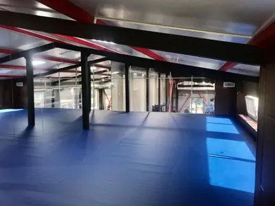 Частный зал единоборств — синий ролл-мат, зеркала с отражением зала, деревянные панели